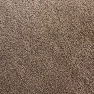 Meet your Posher, Ellen